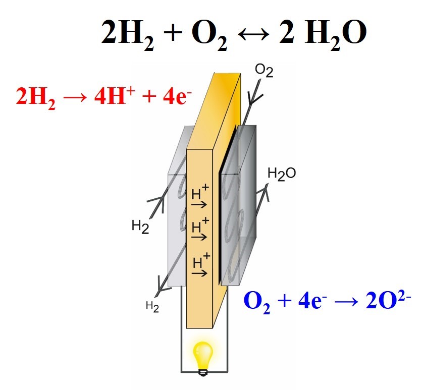 Obrázek 2 Schéma provozu palivového článku s protonově vodivou membránou